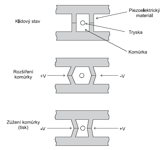 piezo.gif piezo.gif