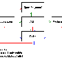 vneuman.gif